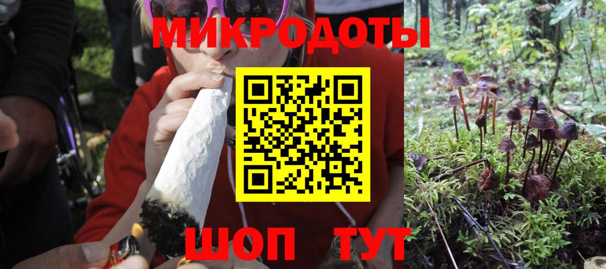 Псилоцибиновые грибы Magic Shrooms  Вход с VPN  Узловая  Псилоцибиновые грибы Psilocybine cubensis 