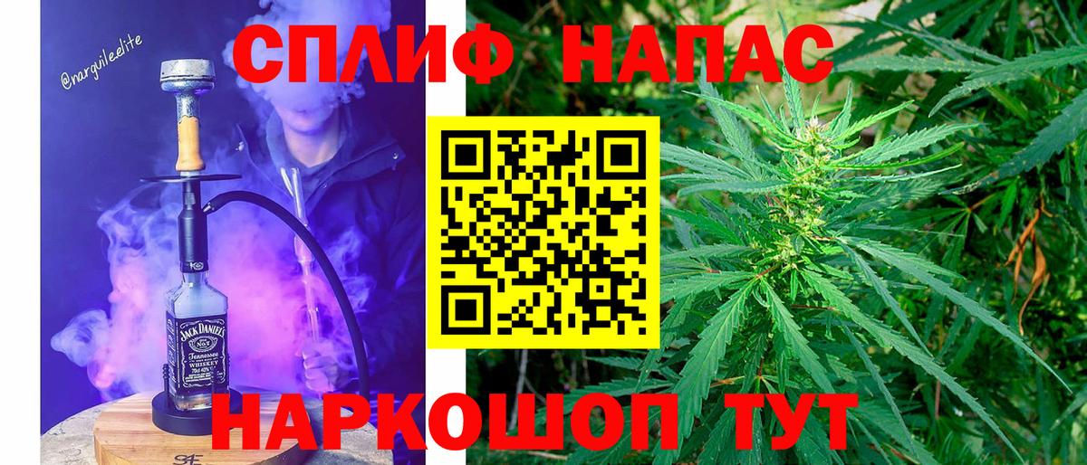 Каннабис MAZAR Узловая